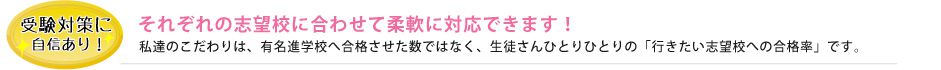 受験対策に自信あり。それぞれの志望校に合わせて柔軟に対応できます！