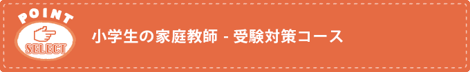 小学生の家庭教師 - 受験対策コース